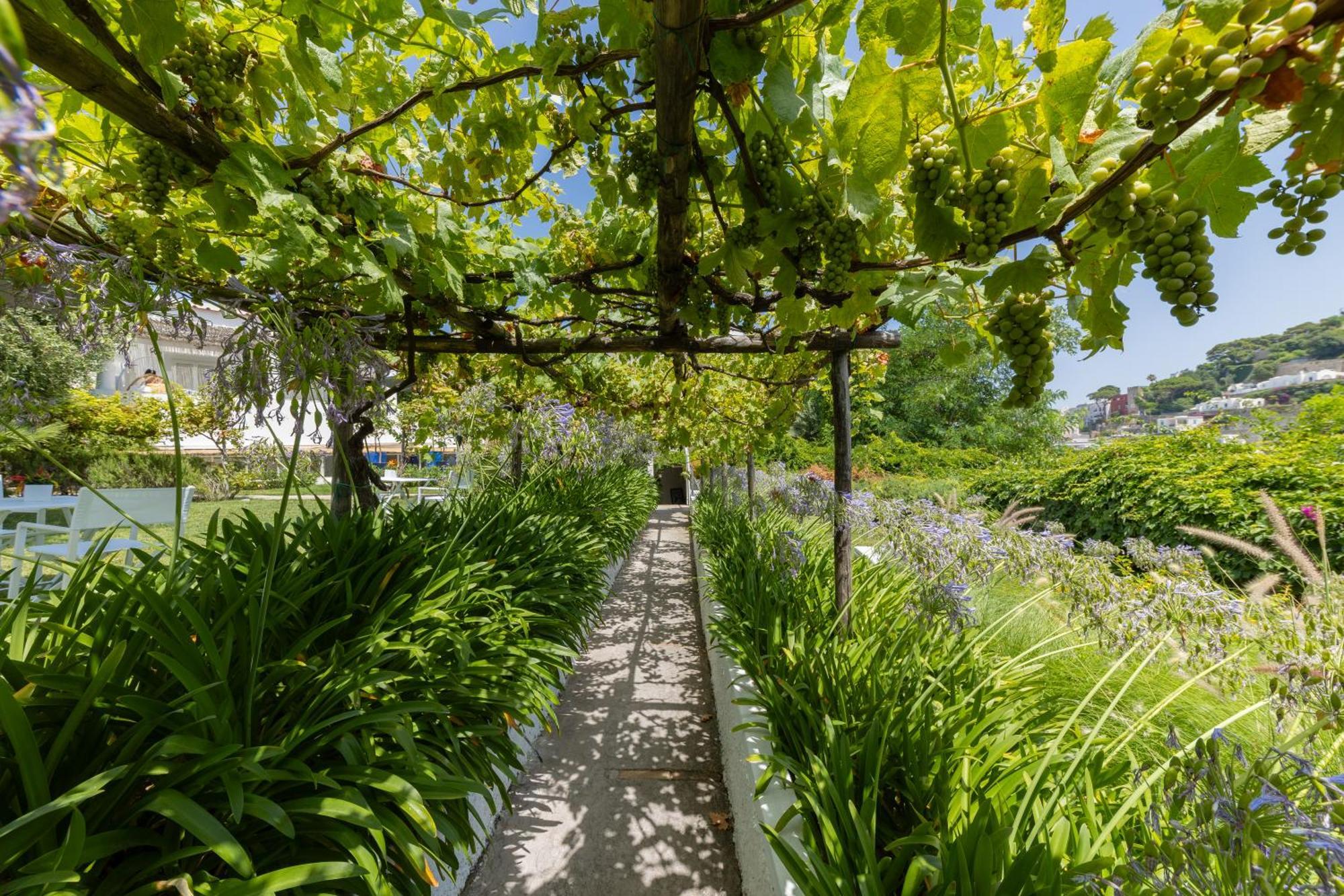 Villa La Pergola Capri Exterior foto